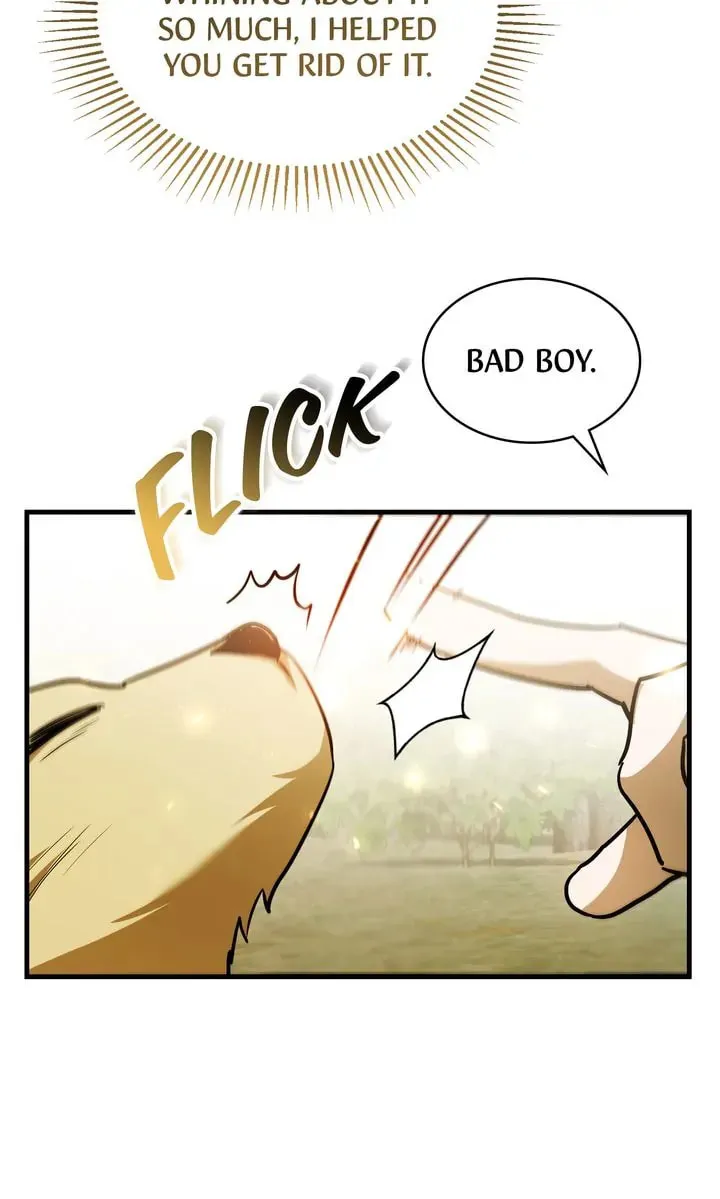 The Night Without Shadows Chapter 78 page 19 - 