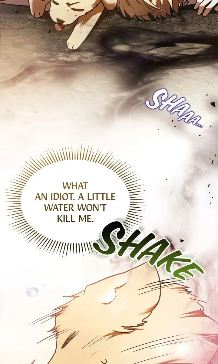 The Night Without Shadows Chapter 78 page 29 - 