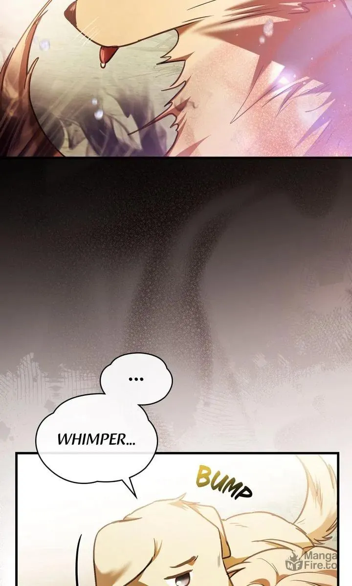 The Night Without Shadows Chapter 78 page 30 - 