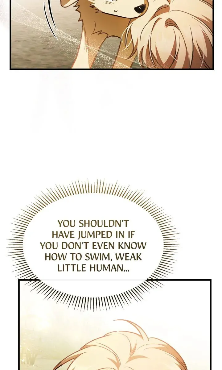 The Night Without Shadows Chapter 78 page 31 - 