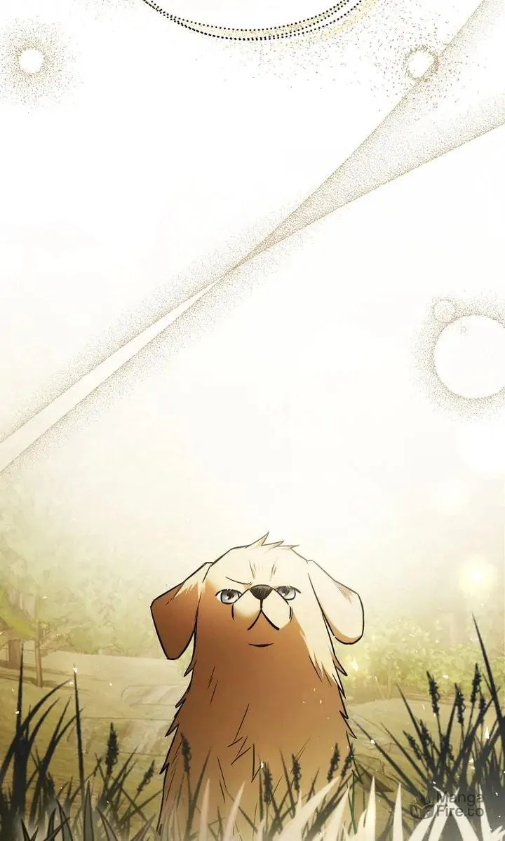 The Night Without Shadows Chapter 78 page 33 - 
