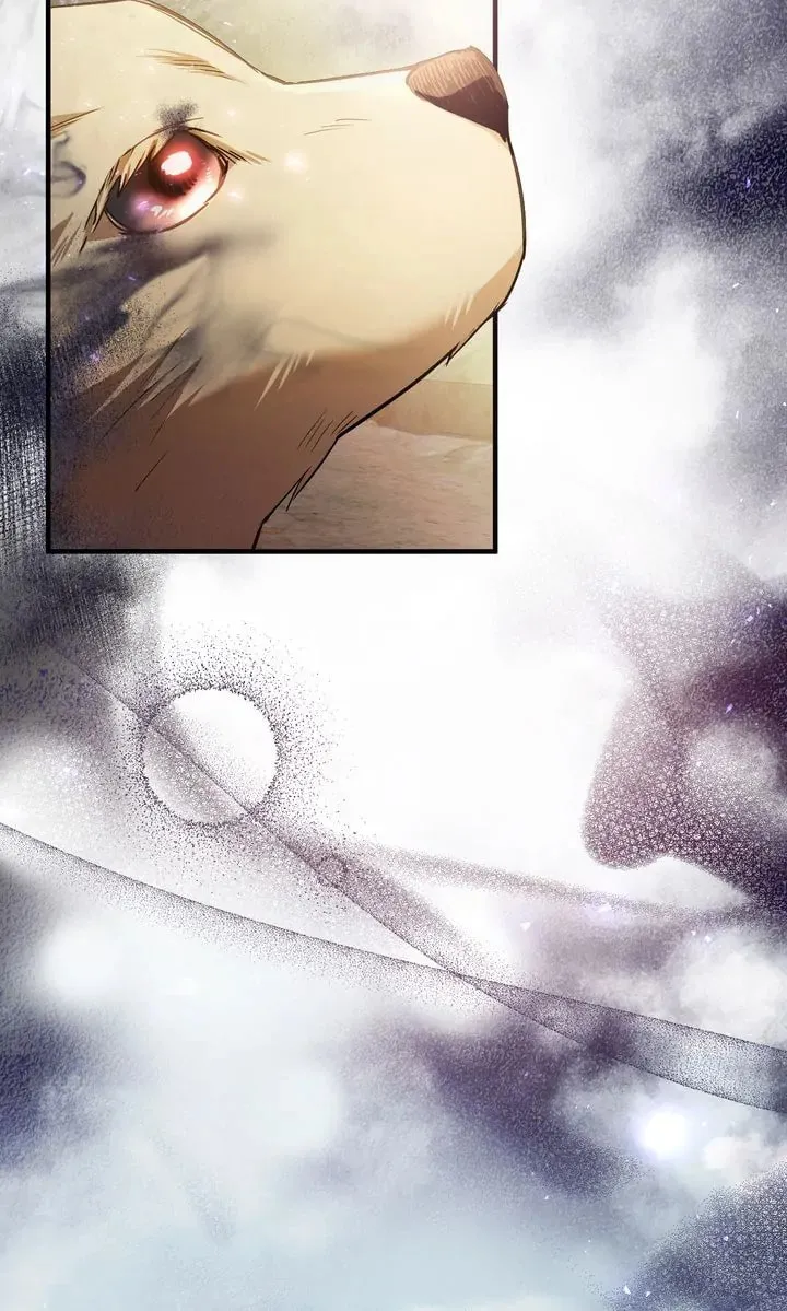 The Night Without Shadows Chapter 78 page 37 - 