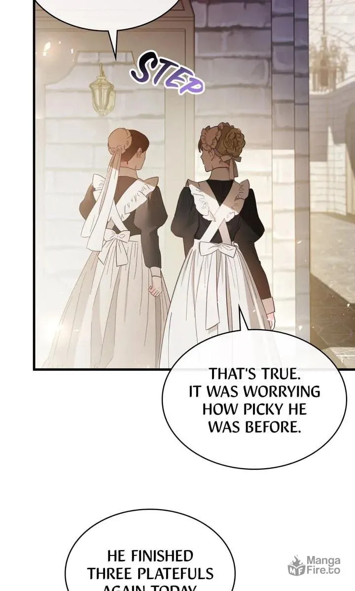 The Night Without Shadows Chapter 78 page 42 - 