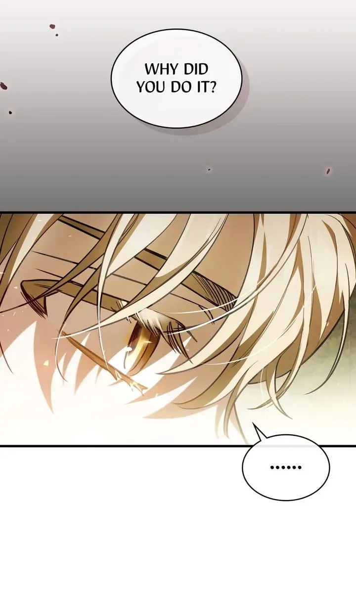 The Night Without Shadows Chapter 79 page 17 - 