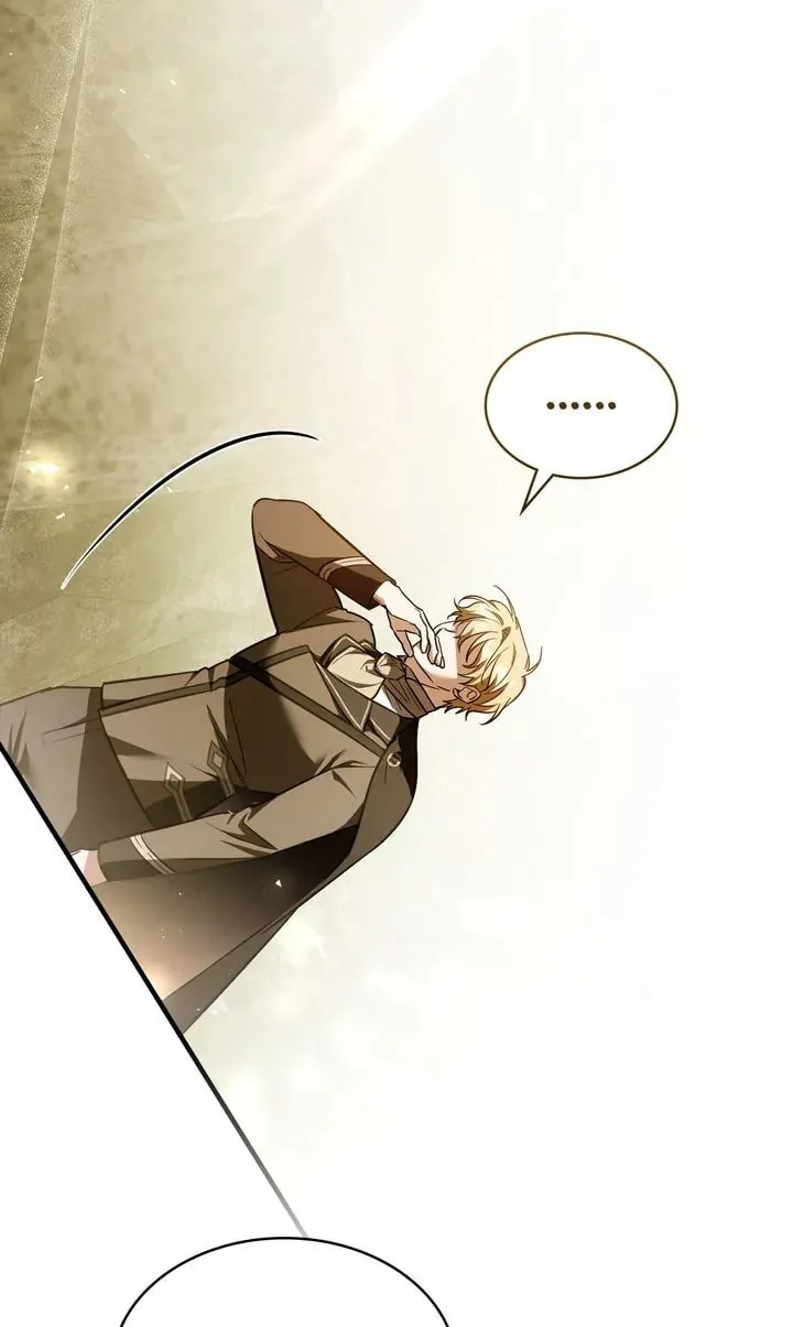 The Night Without Shadows Chapter 79 page 29 - 