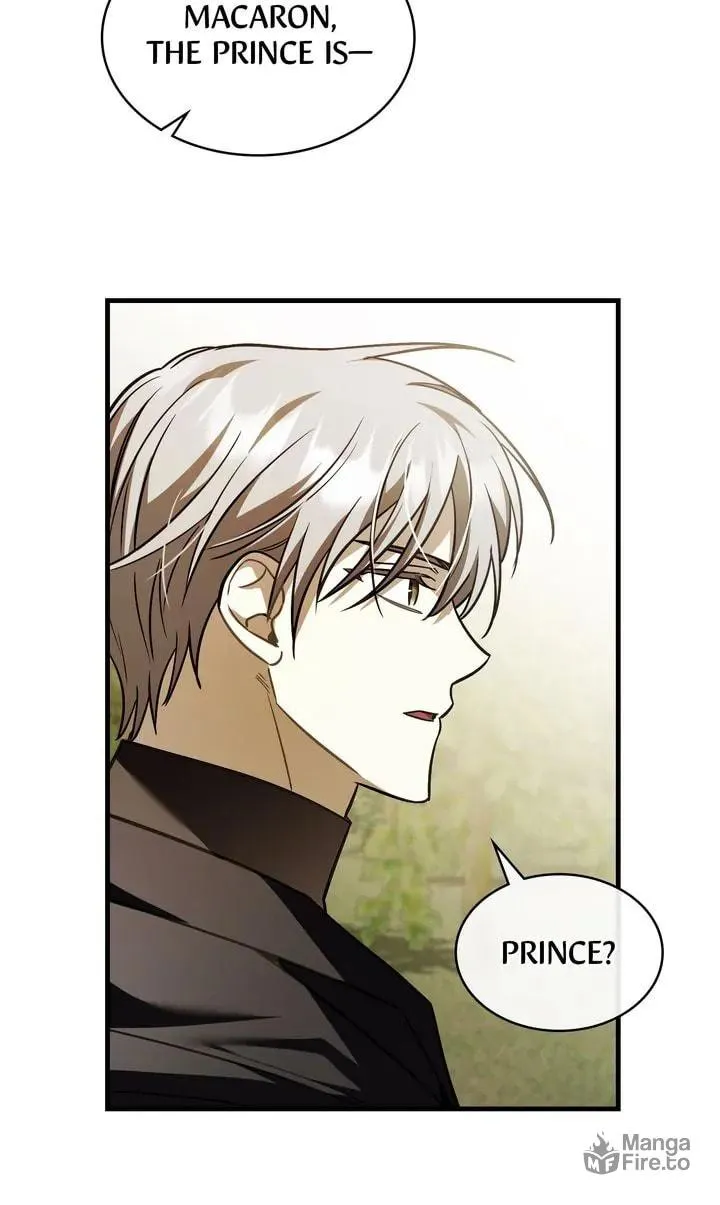 The Night Without Shadows Chapter 79 page 30 - 