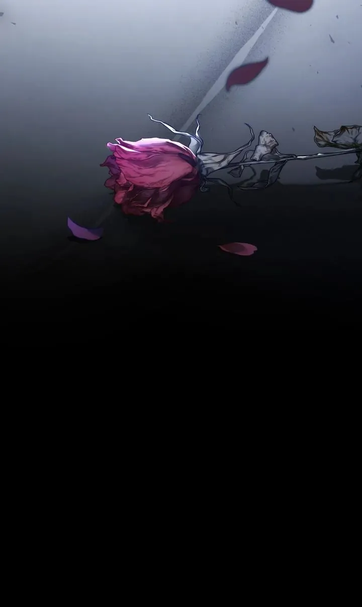 The Night Without Shadows Chapter 79 page 61 - 