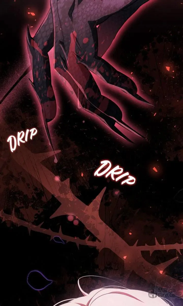 The Night Without Shadows Chapter 80 page 78 - 