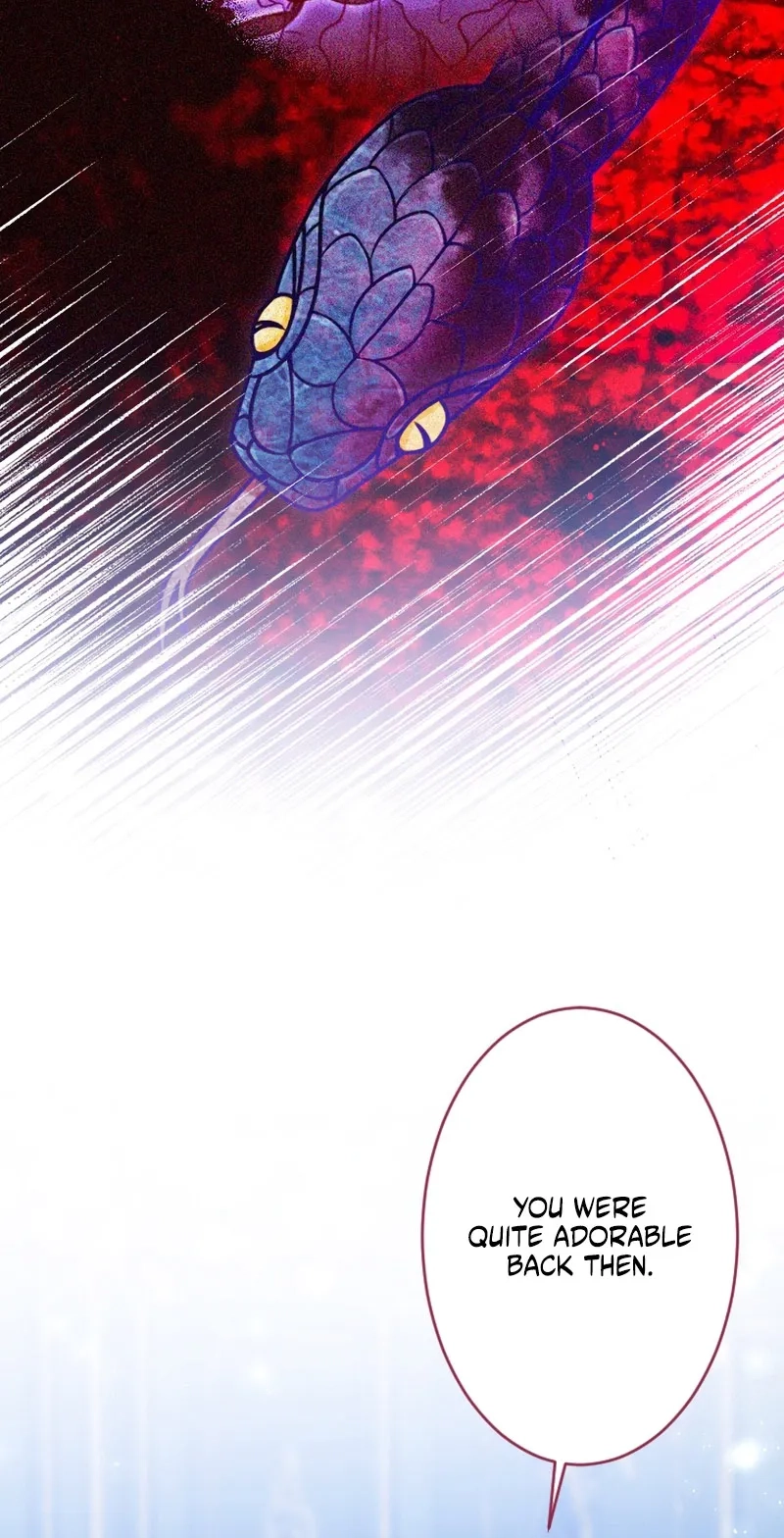 The Northern Warrior’s Beloved Bride Chapter 63 page 56 - 