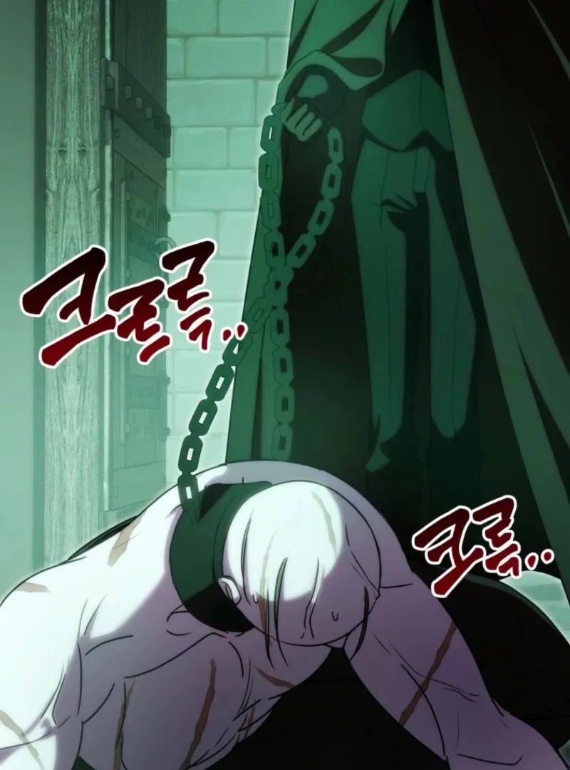 The Obsessive Emperor’s Capable Pharmacist Chapter 62 page 25 - 