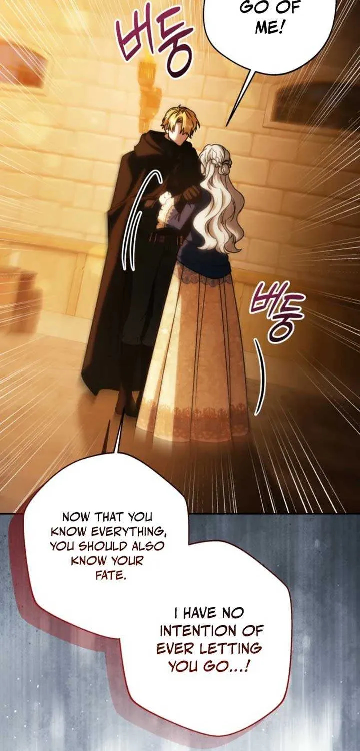 The Obsessive Emperor’s Capable Pharmacist Chapter 64 page 17 - 