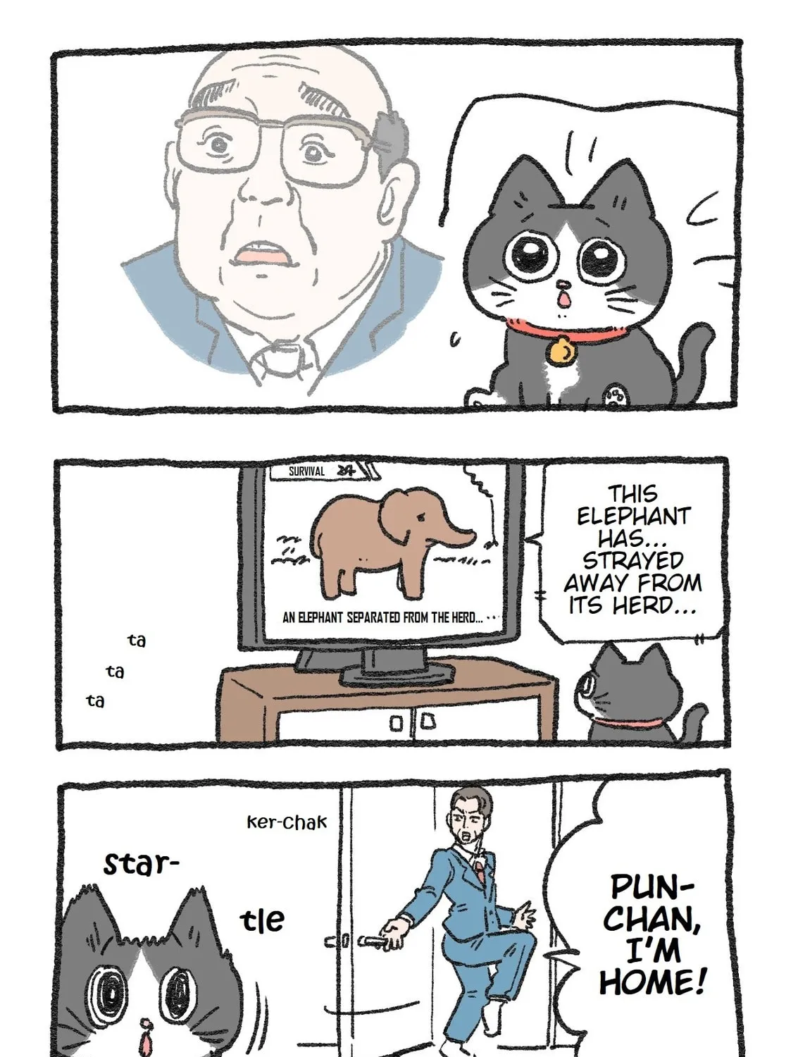 The Old Man Who Was Reincarnated As A Cat (Colored) Chapter 22 page 1 - 