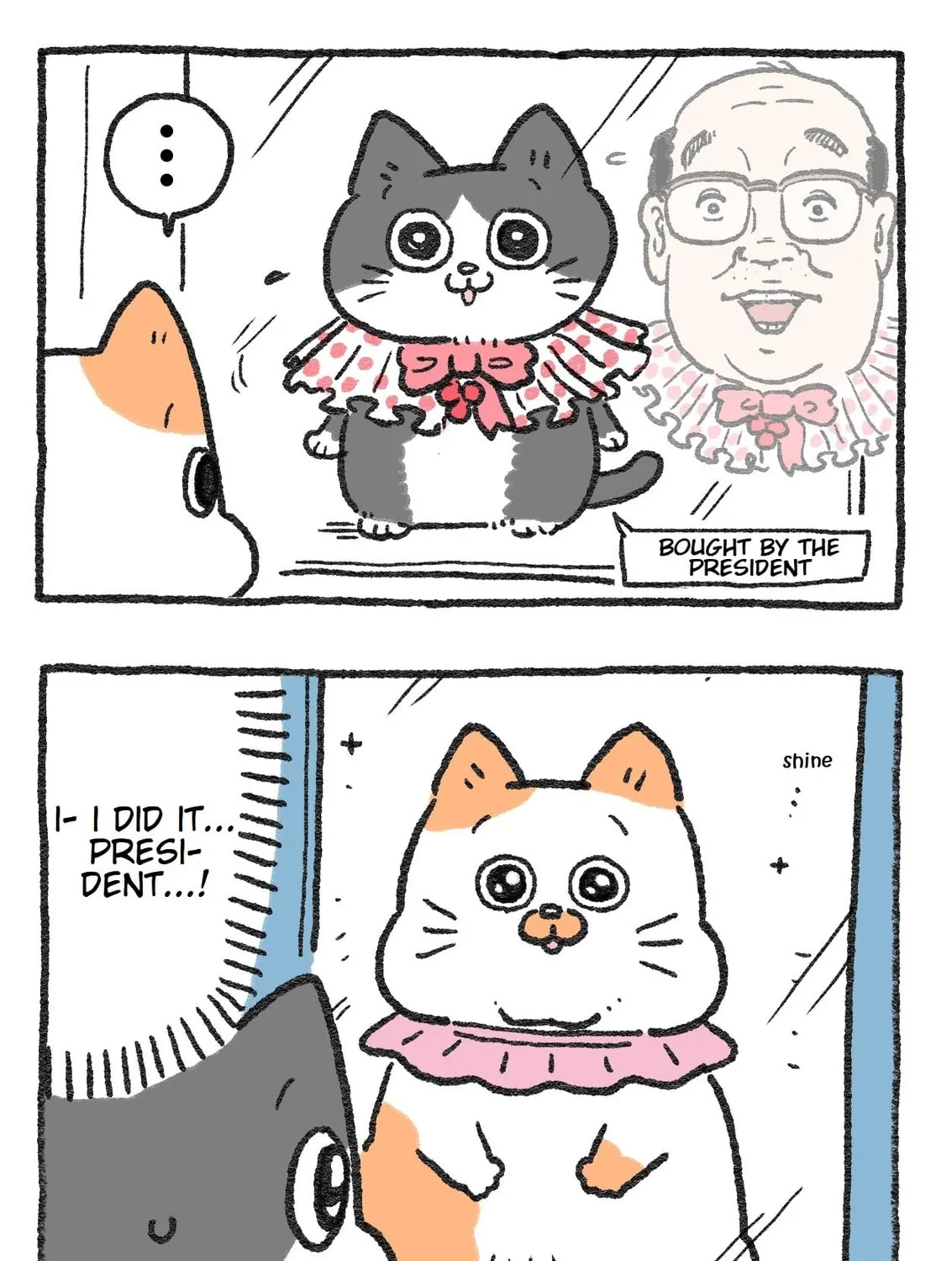 The Old Man Who Was Reincarnated As A Cat (Colored) Chapter 49 page 3 - 