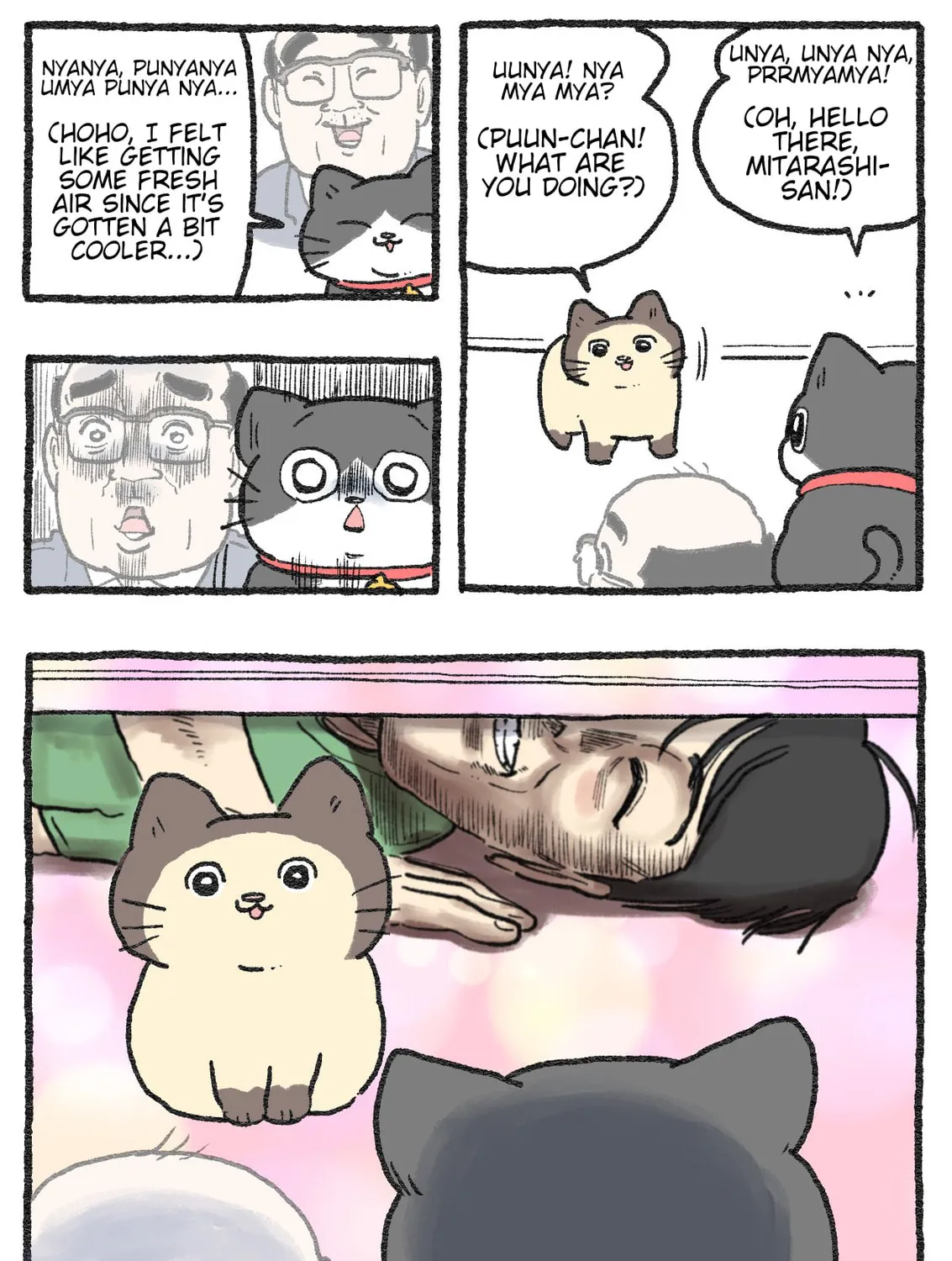 The Old Man Who Was Reincarnated As A Cat (Colored) Chapter 557 page 3 - 