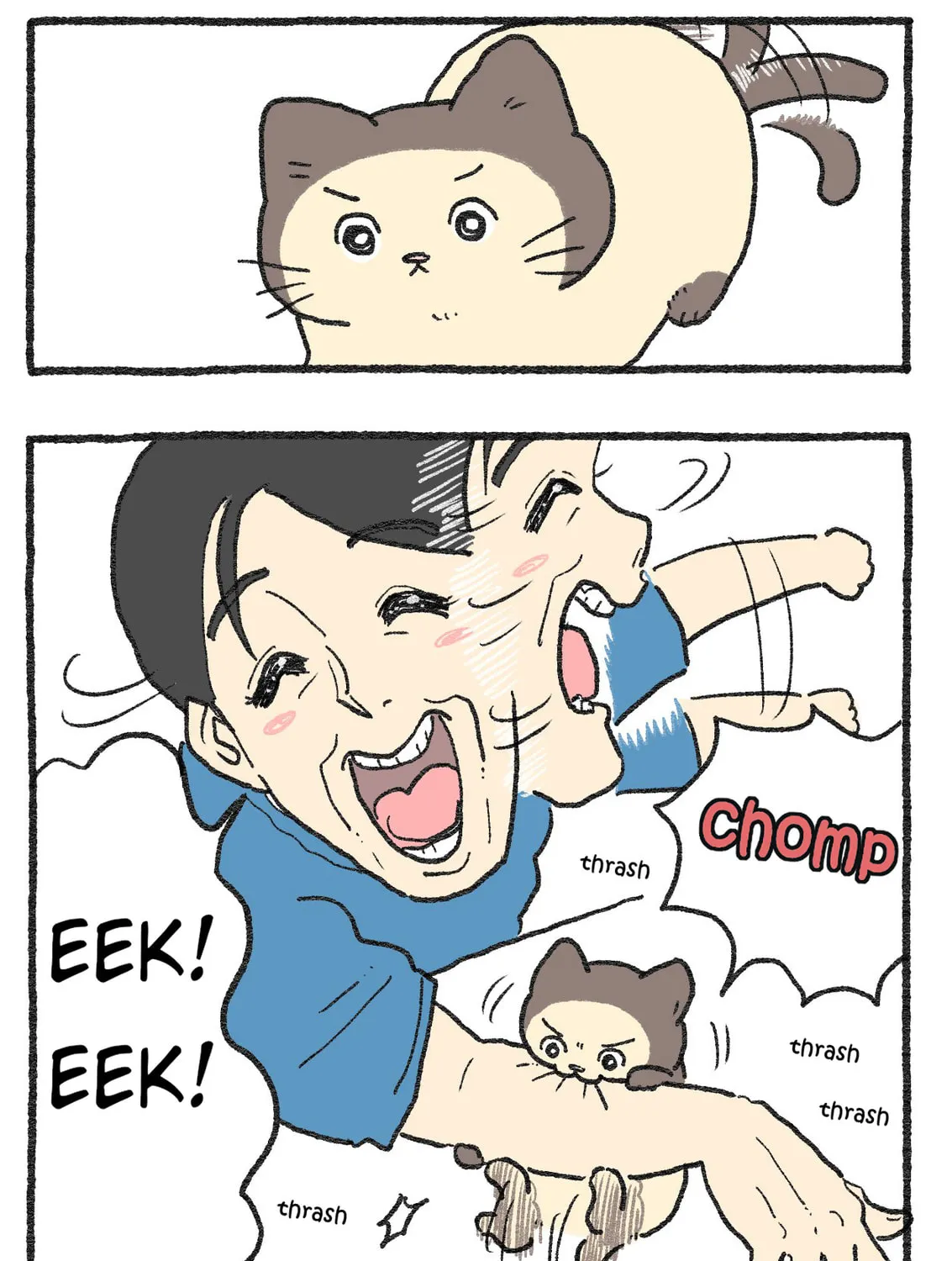 The Old Man Who Was Reincarnated As A Cat (Colored) Chapter 565 page 3 - 