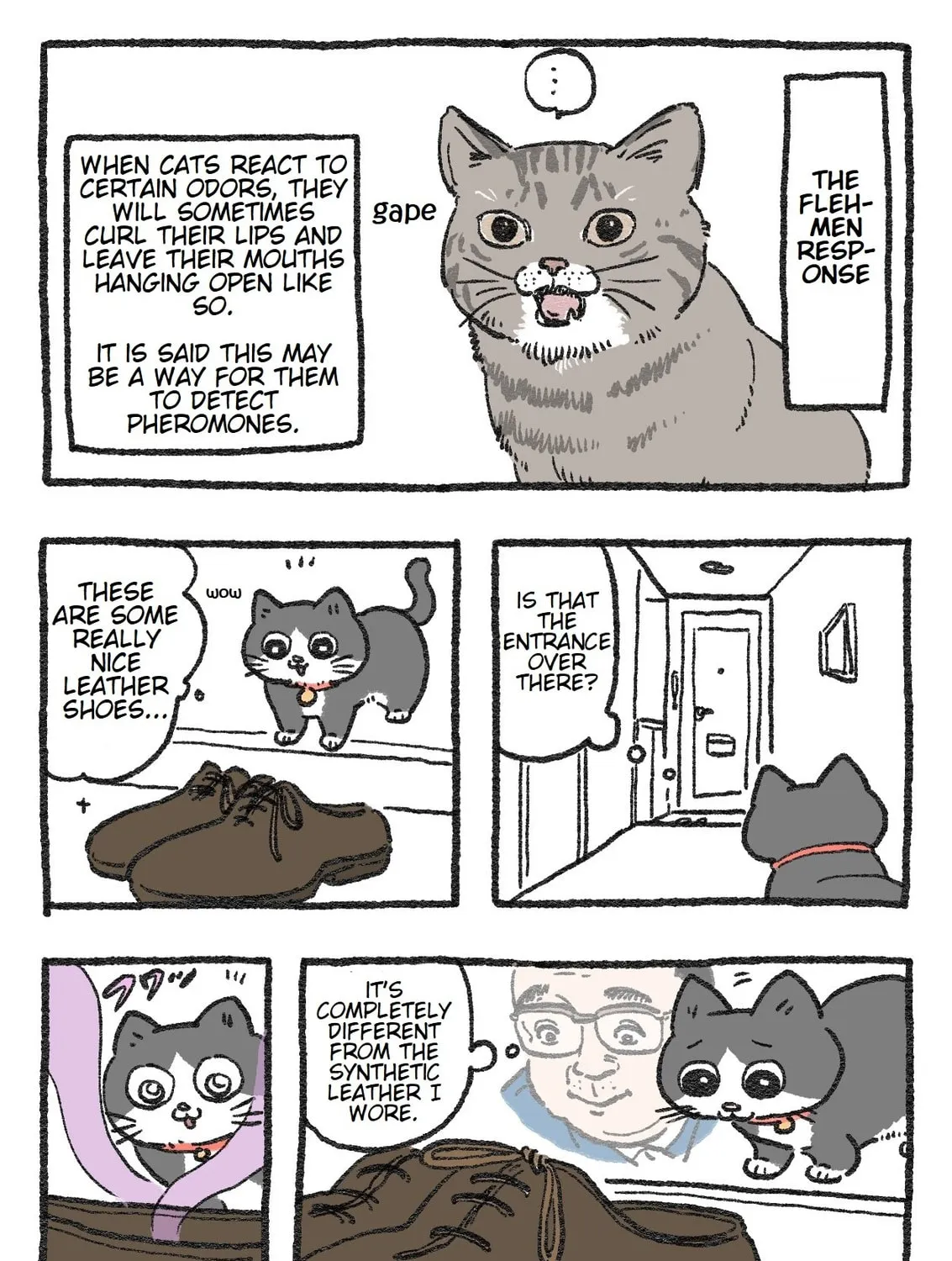 The Old Man Who Was Reincarnated As A Cat (Colored) Chapter 57 page 1 - 