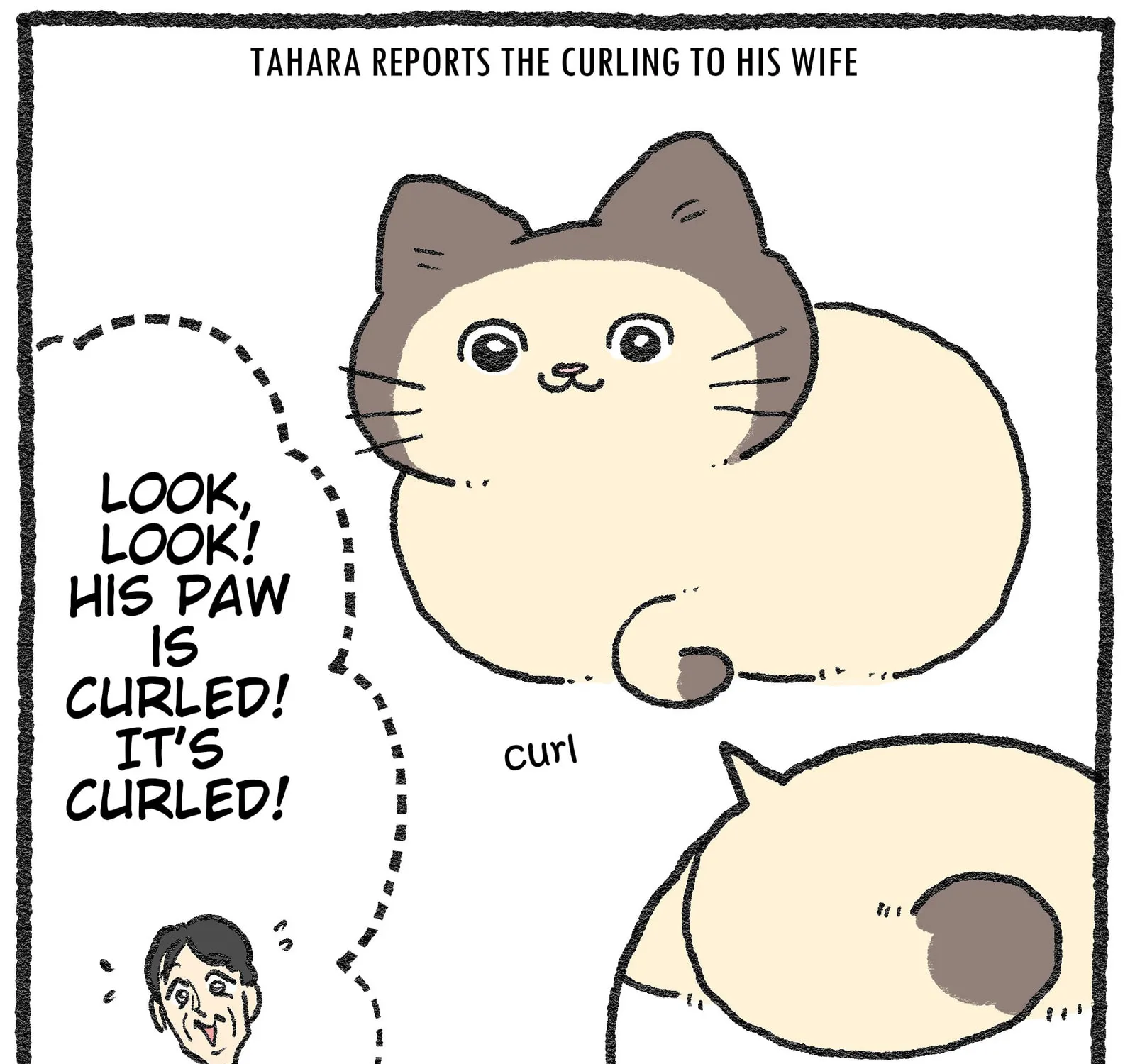 The Old Man Who Was Reincarnated As A Cat (Colored) Chapter 578.6 page 7 - 