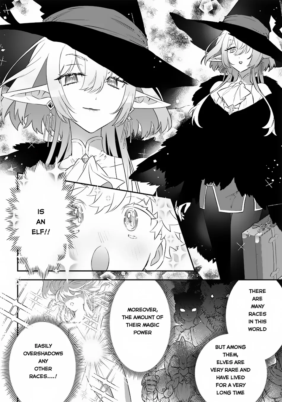 The Only in the World, Omnipotent Wizard Chapter 2 page 11 - 