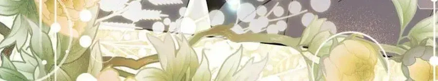 The Overflowing Elixir of the Fallen House Chapter 100 page 66 - 