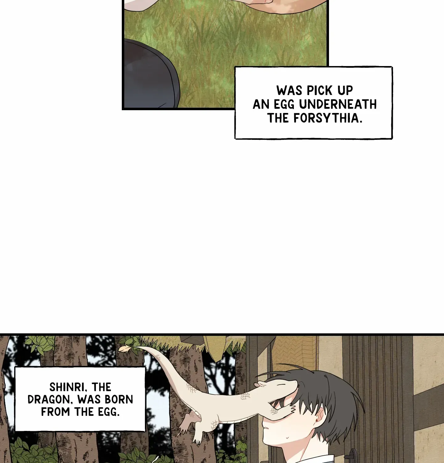 The Path Where the Forsythia Fell Chapter 18 page 65 - 