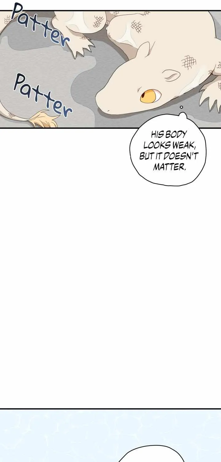 The Path Where the Forsythia Fell Chapter 3 page 44 - 