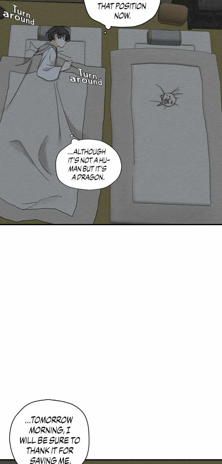 The Path Where the Forsythia Fell Chapter 4 page 12 - 