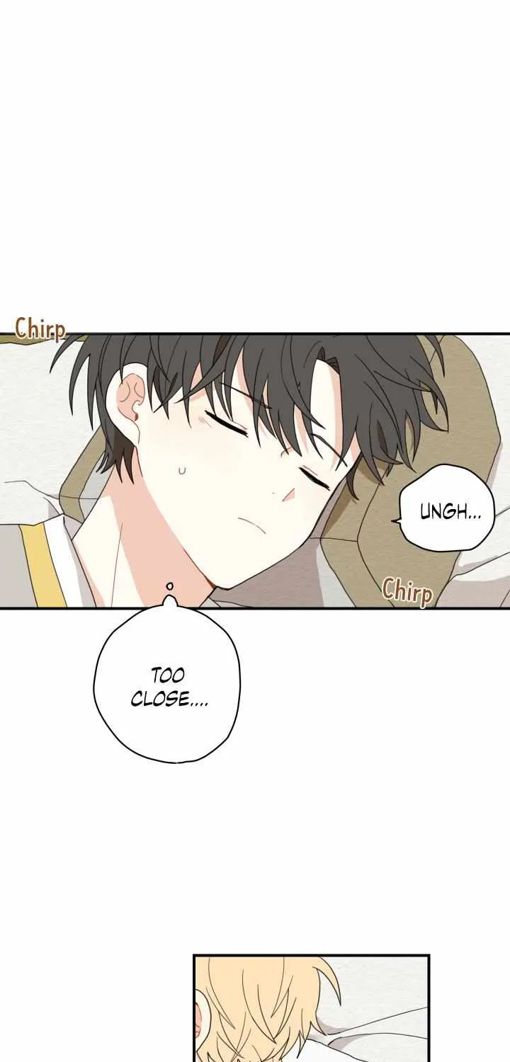 The Path Where the Forsythia Fell Chapter 4 page 16 - 