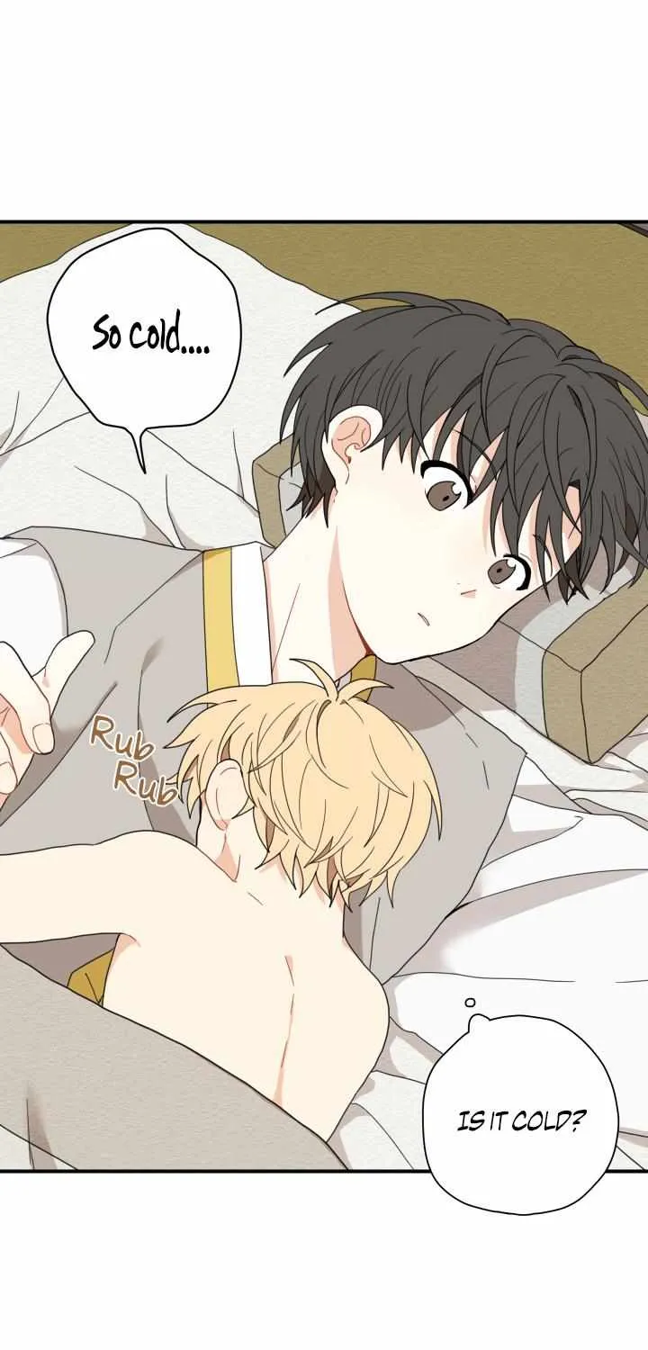 The Path Where the Forsythia Fell Chapter 4 page 20 - 