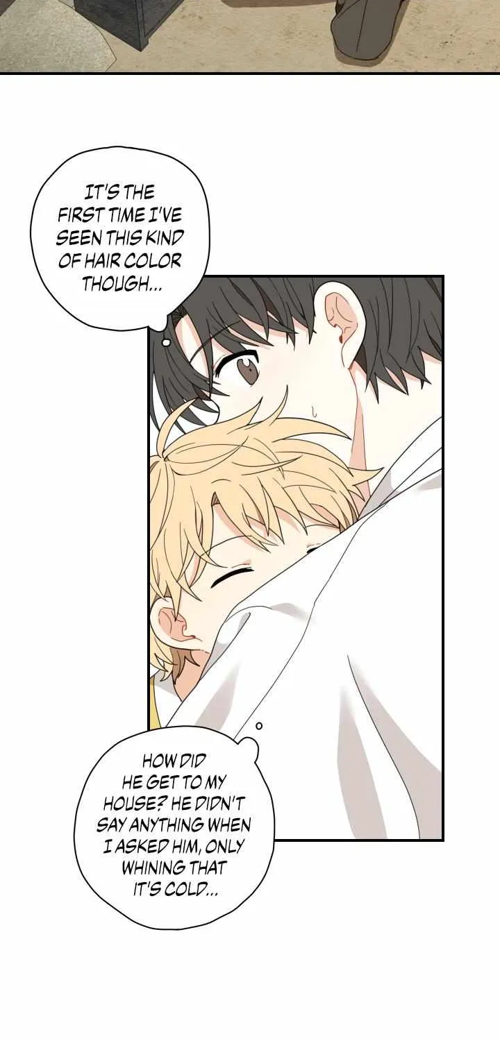 The Path Where the Forsythia Fell Chapter 4 page 24 - 