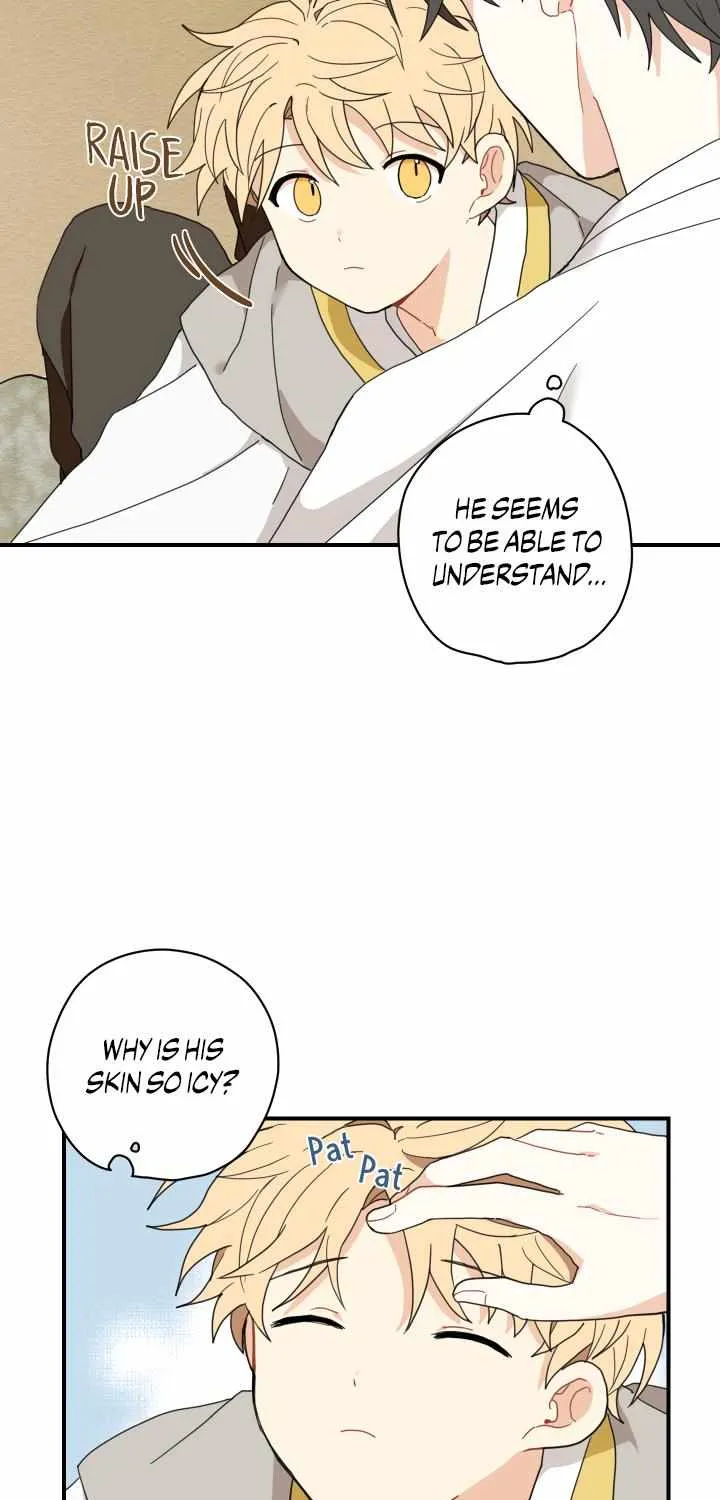The Path Where the Forsythia Fell Chapter 4 page 27 - 