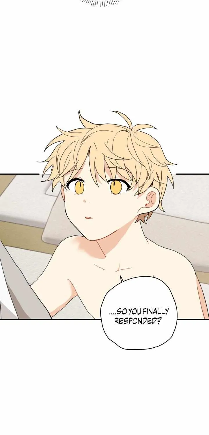 The Path Where the Forsythia Fell Chapter 4 page 52 - 