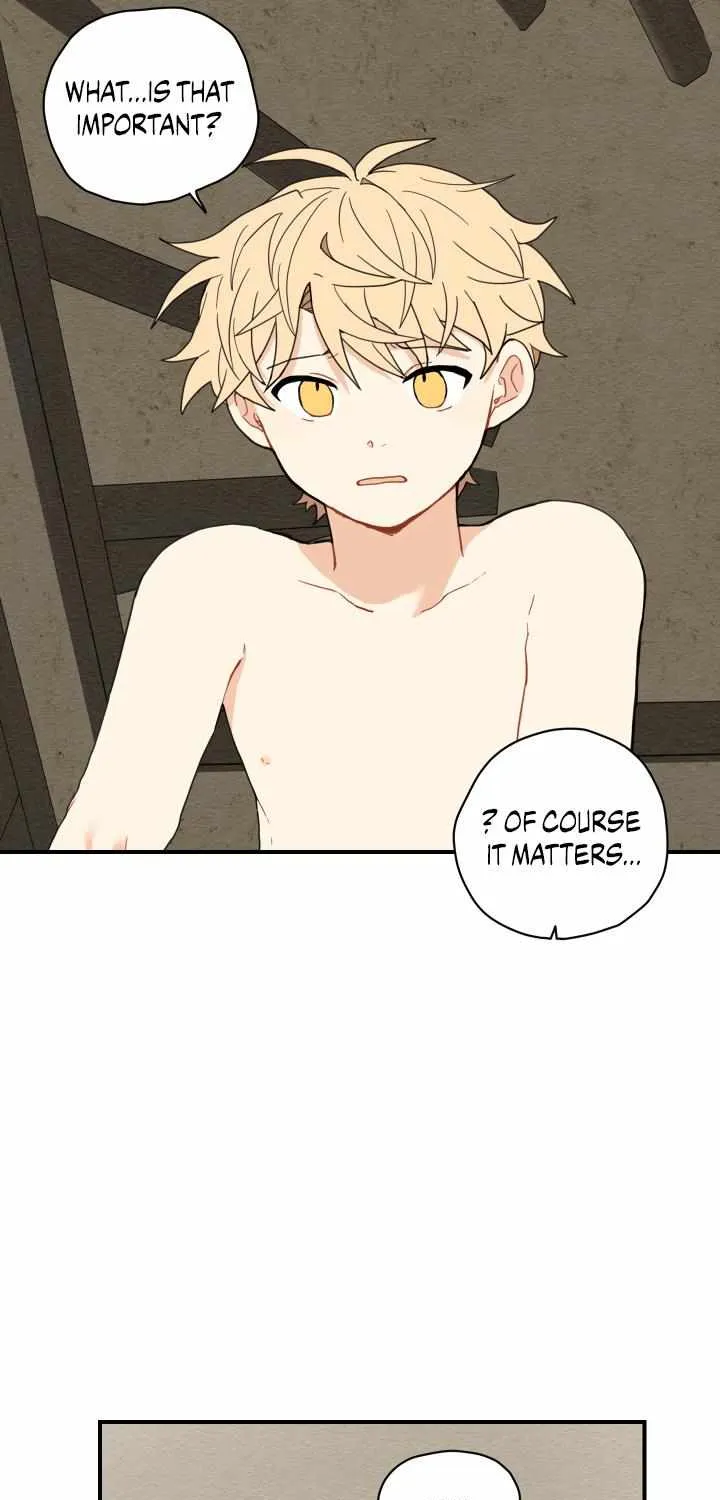 The Path Where the Forsythia Fell Chapter 4 page 64 - 