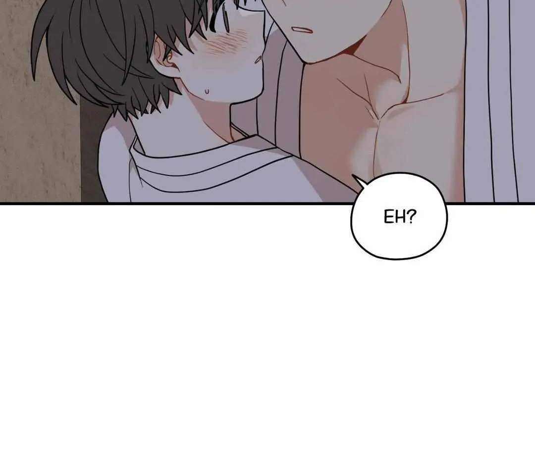 The Path Where the Forsythia Fell Chapter 44 page 12 - 