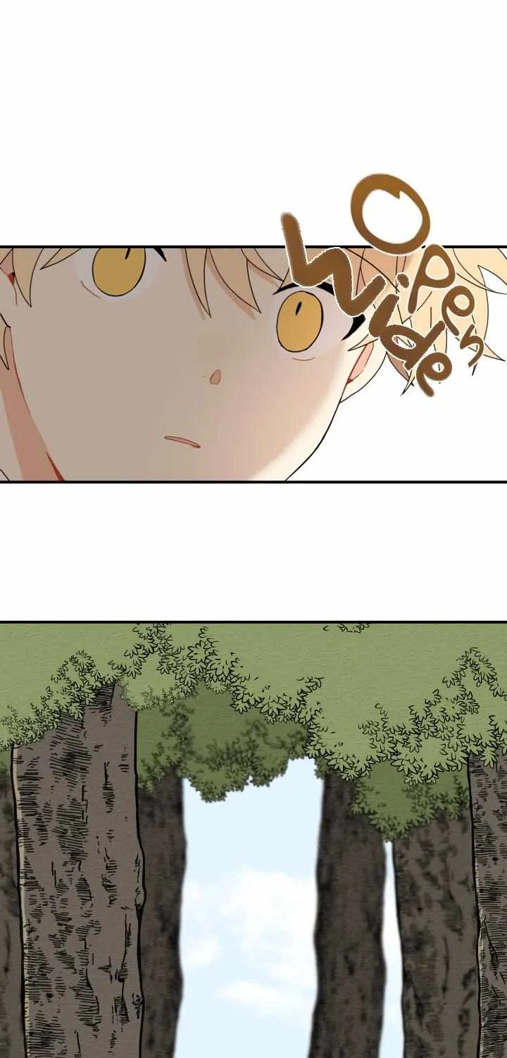 The Path Where the Forsythia Fell Chapter 5 page 20 - 