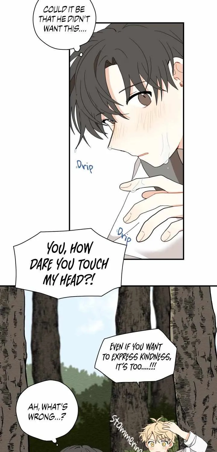 The Path Where the Forsythia Fell Chapter 5 page 25 - 