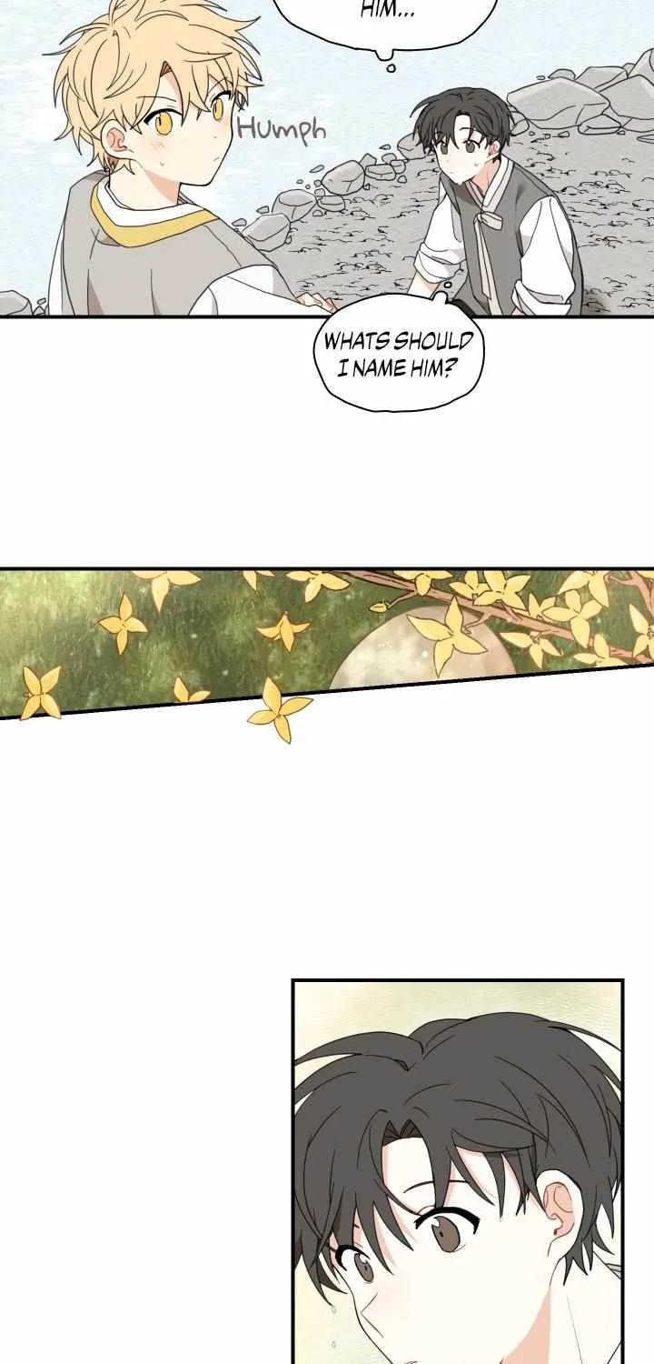 The Path Where the Forsythia Fell Chapter 5 page 31 - 