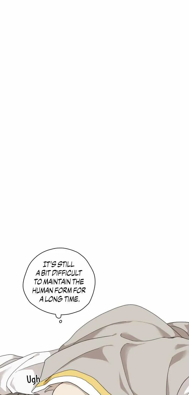 The Path Where the Forsythia Fell Chapter 5 page 40 - 