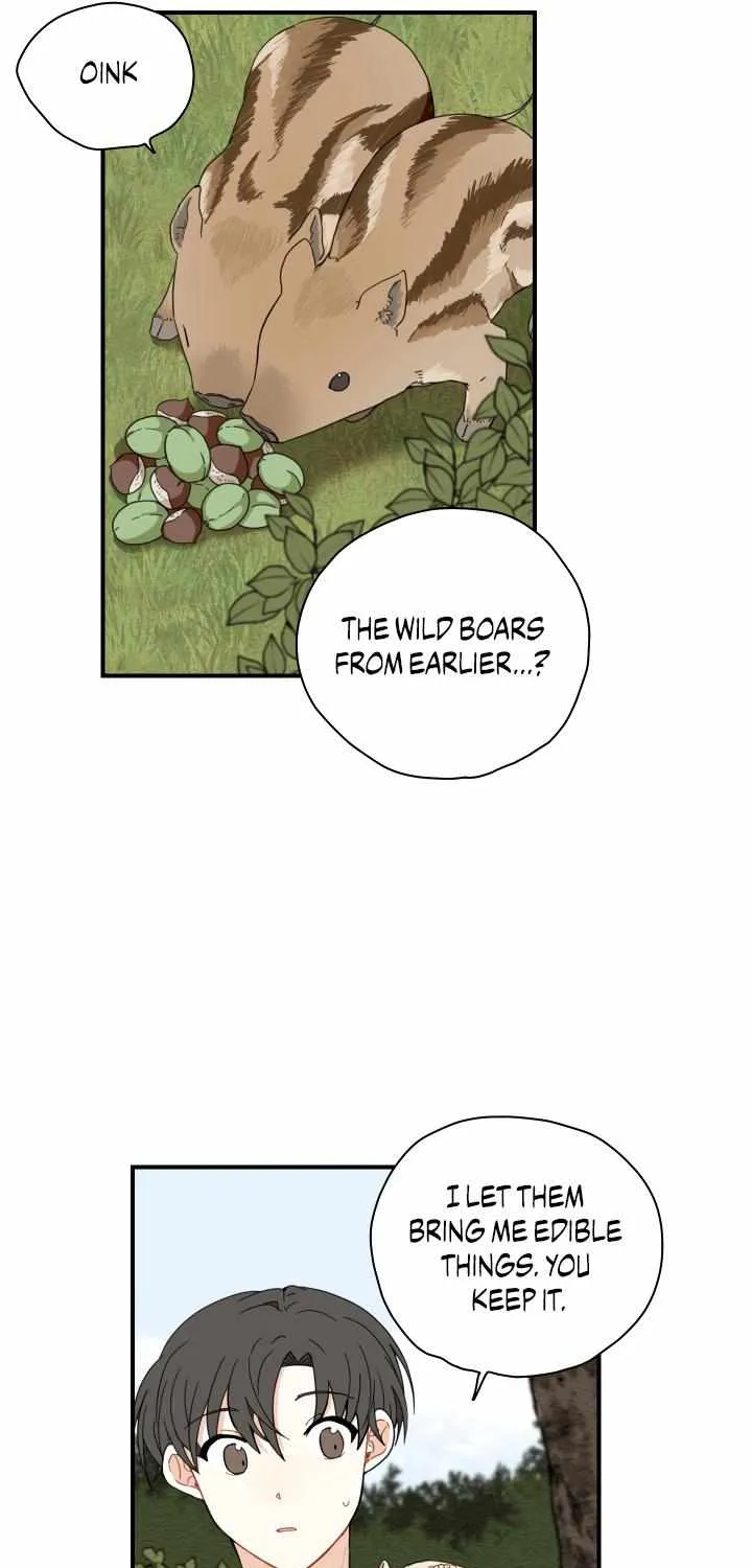 The Path Where the Forsythia Fell Chapter 5 page 43 - 