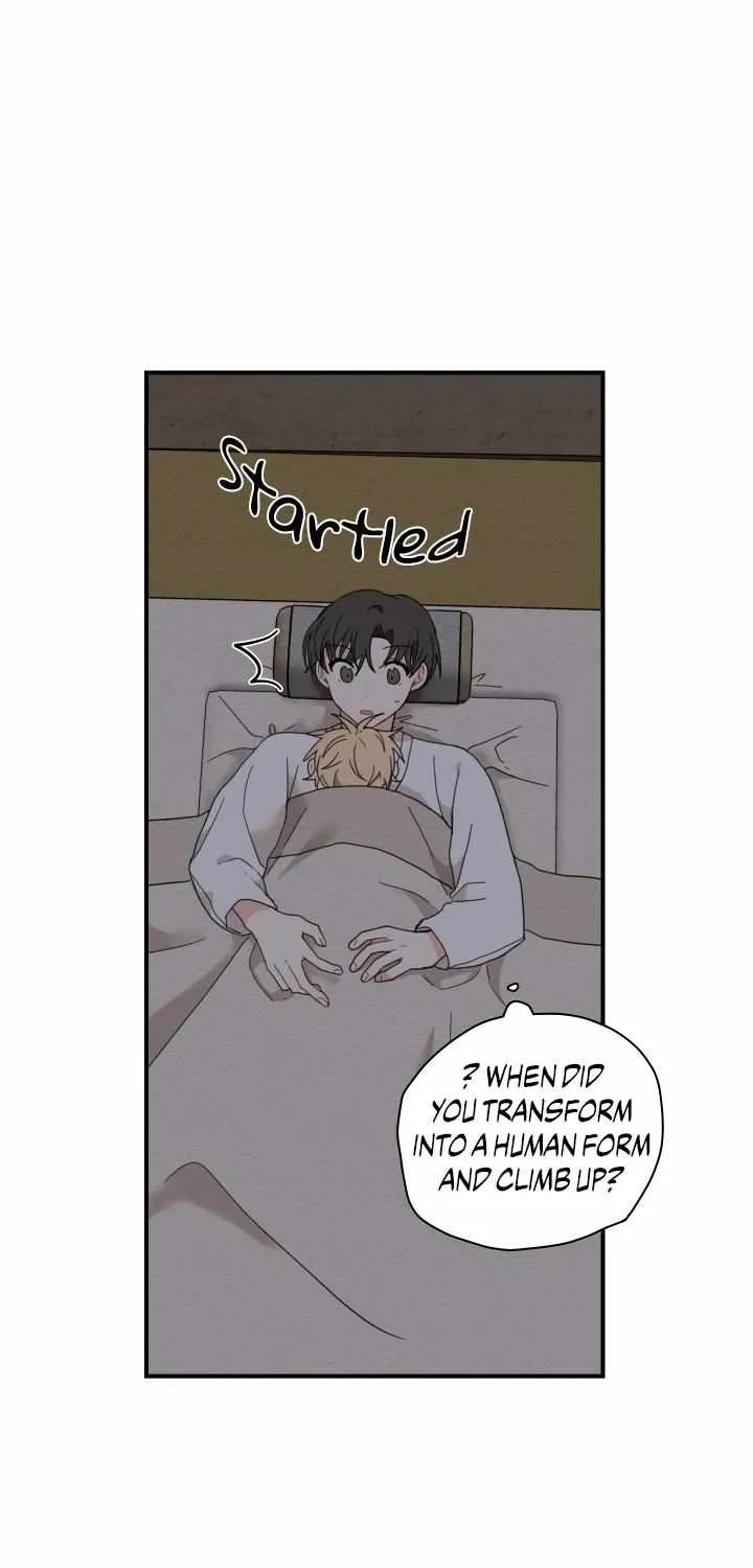 The Path Where the Forsythia Fell Chapter 5 page 58 - 