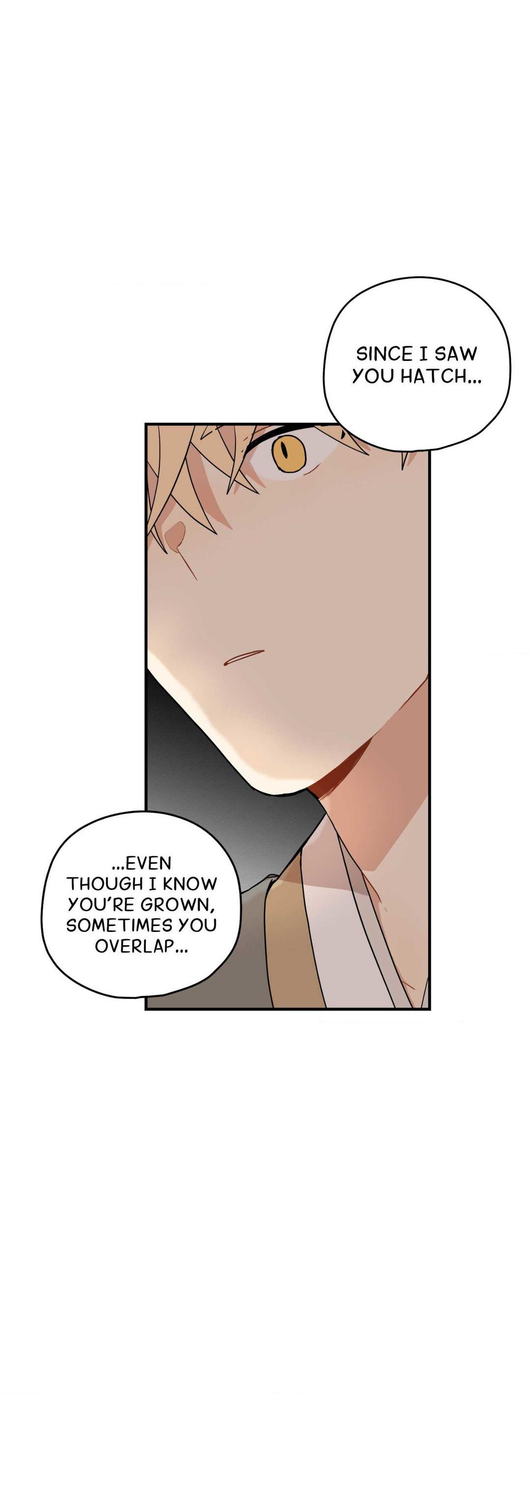 The Path Where the Forsythia Fell Chapter 6.2 page 19 - 