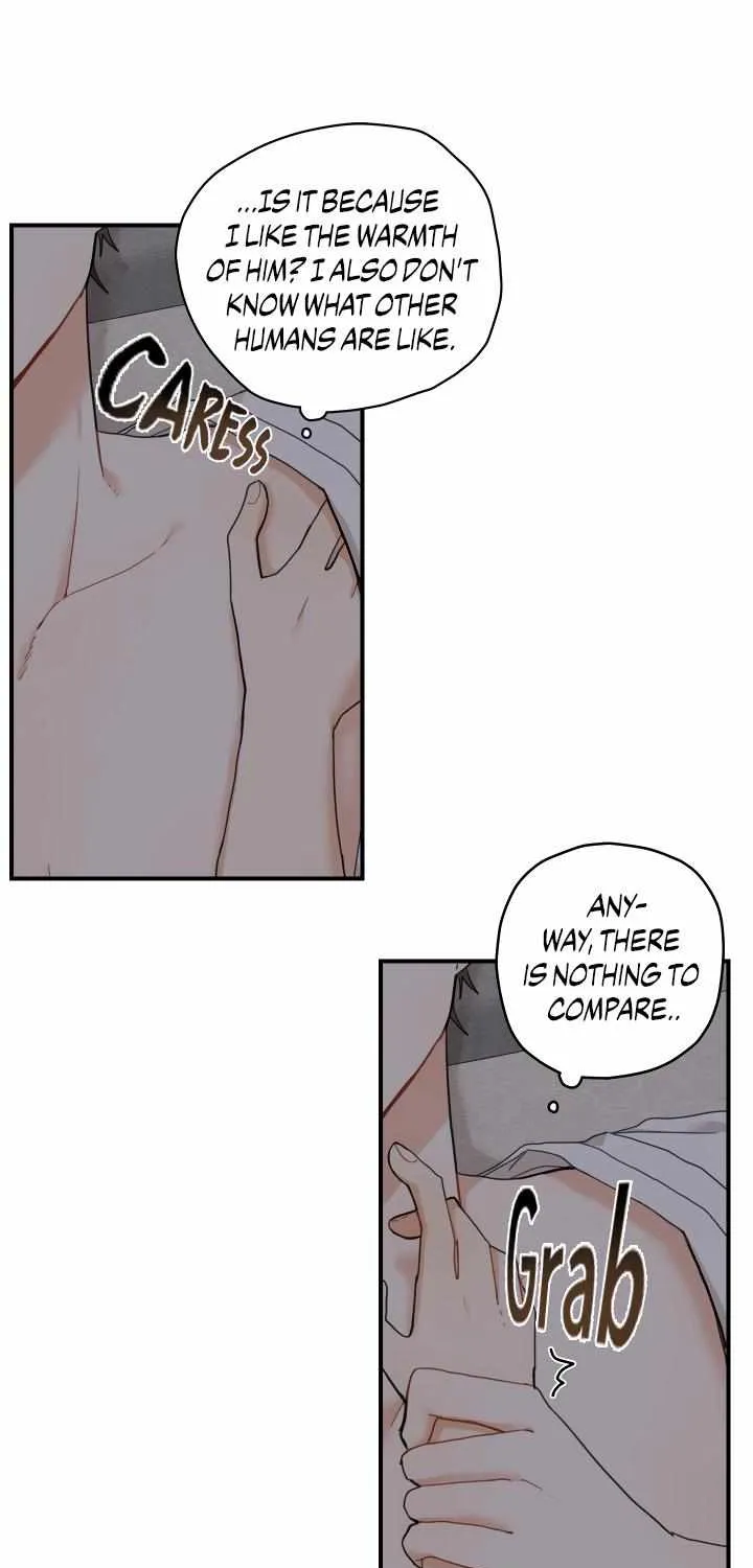 The Path Where the Forsythia Fell Chapter 6 page 11 - 