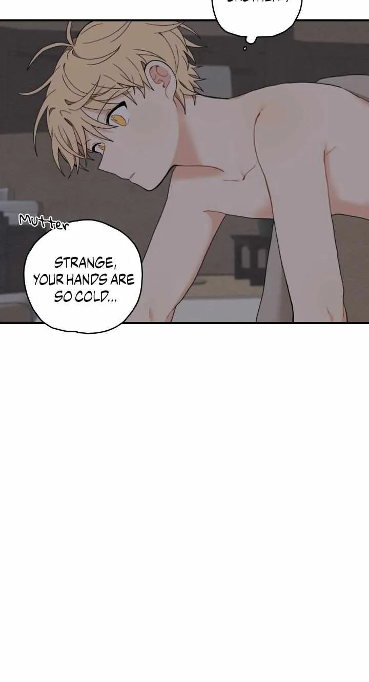The Path Where the Forsythia Fell Chapter 6 page 14 - 