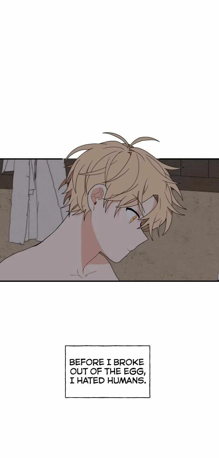 The Path Where the Forsythia Fell Chapter 6 page 4 - 