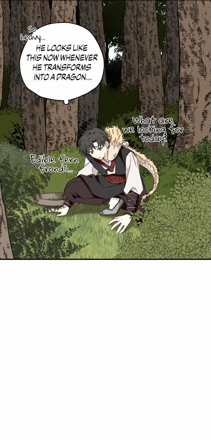The Path Where the Forsythia Fell Chapter 6 page 61 - 