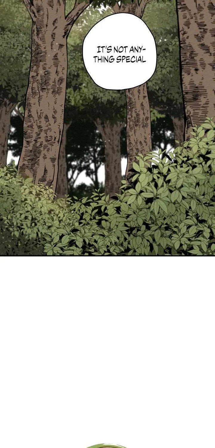 The Path Where the Forsythia Fell Chapter 7 page 11 - 