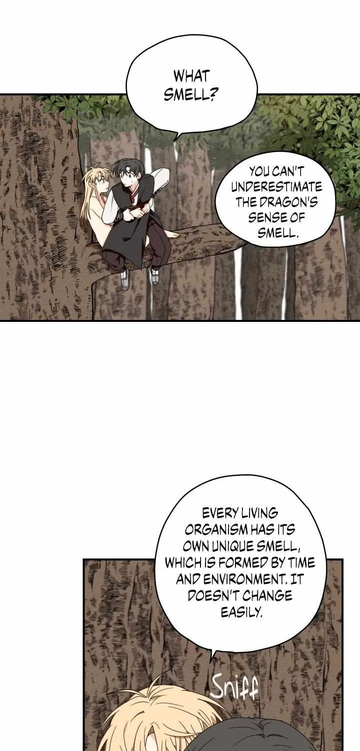 The Path Where the Forsythia Fell Chapter 7 page 17 - 