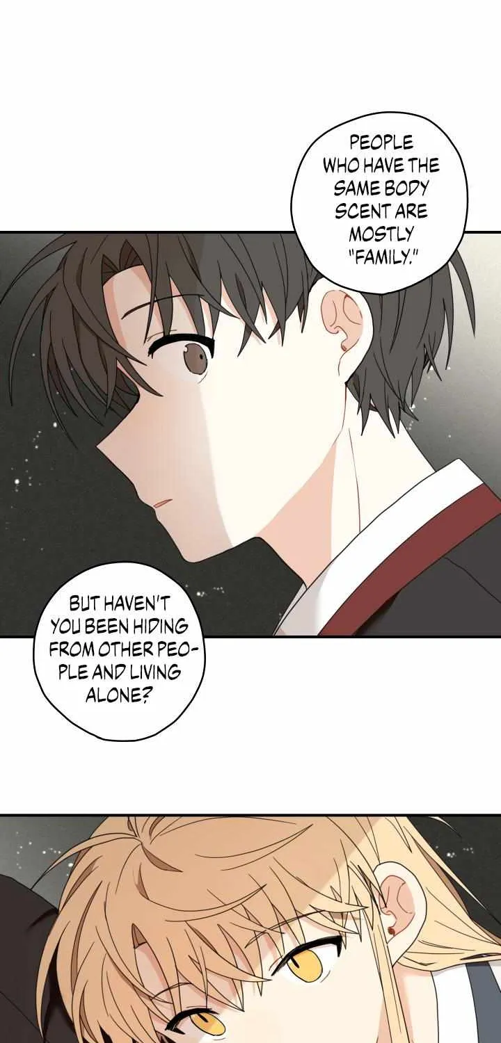 The Path Where the Forsythia Fell Chapter 7 page 23 - 