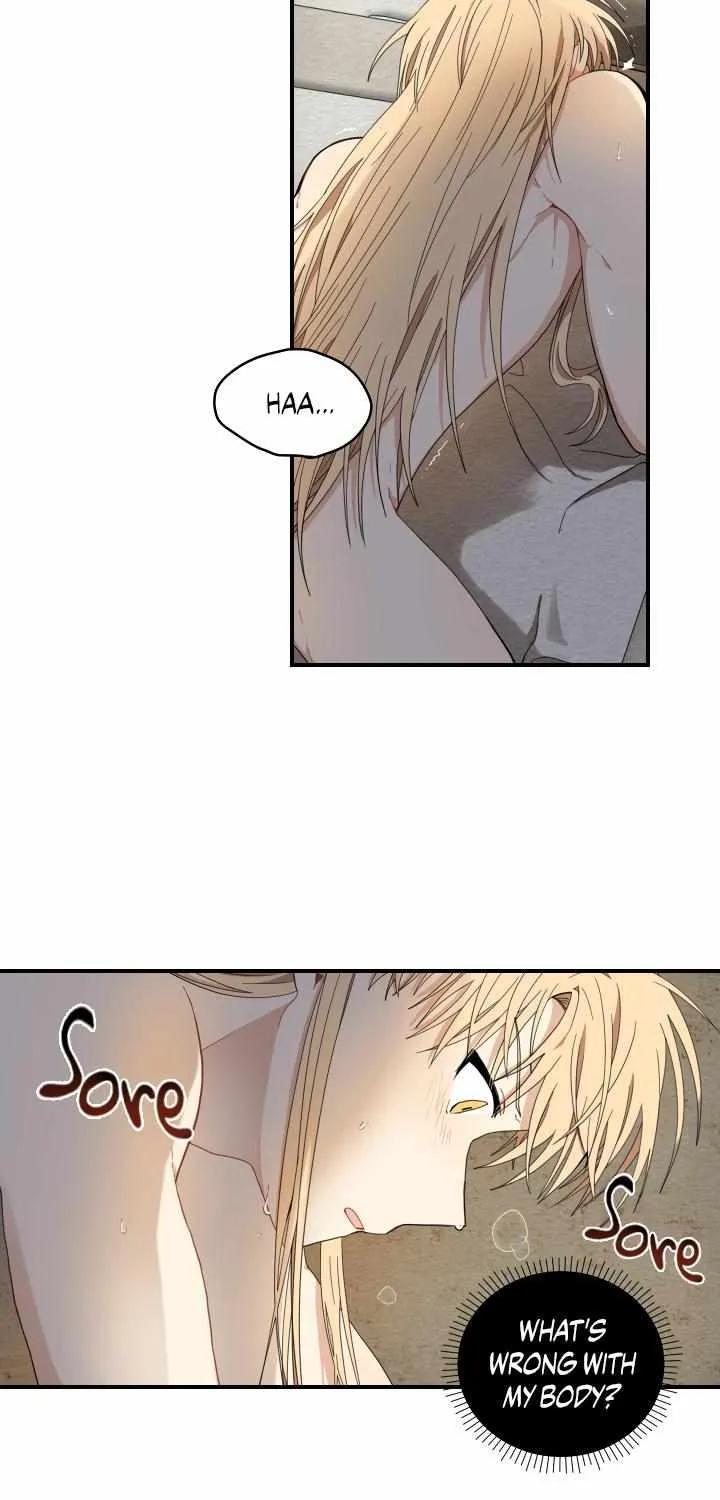 The Path Where the Forsythia Fell Chapter 9 page 17 - 