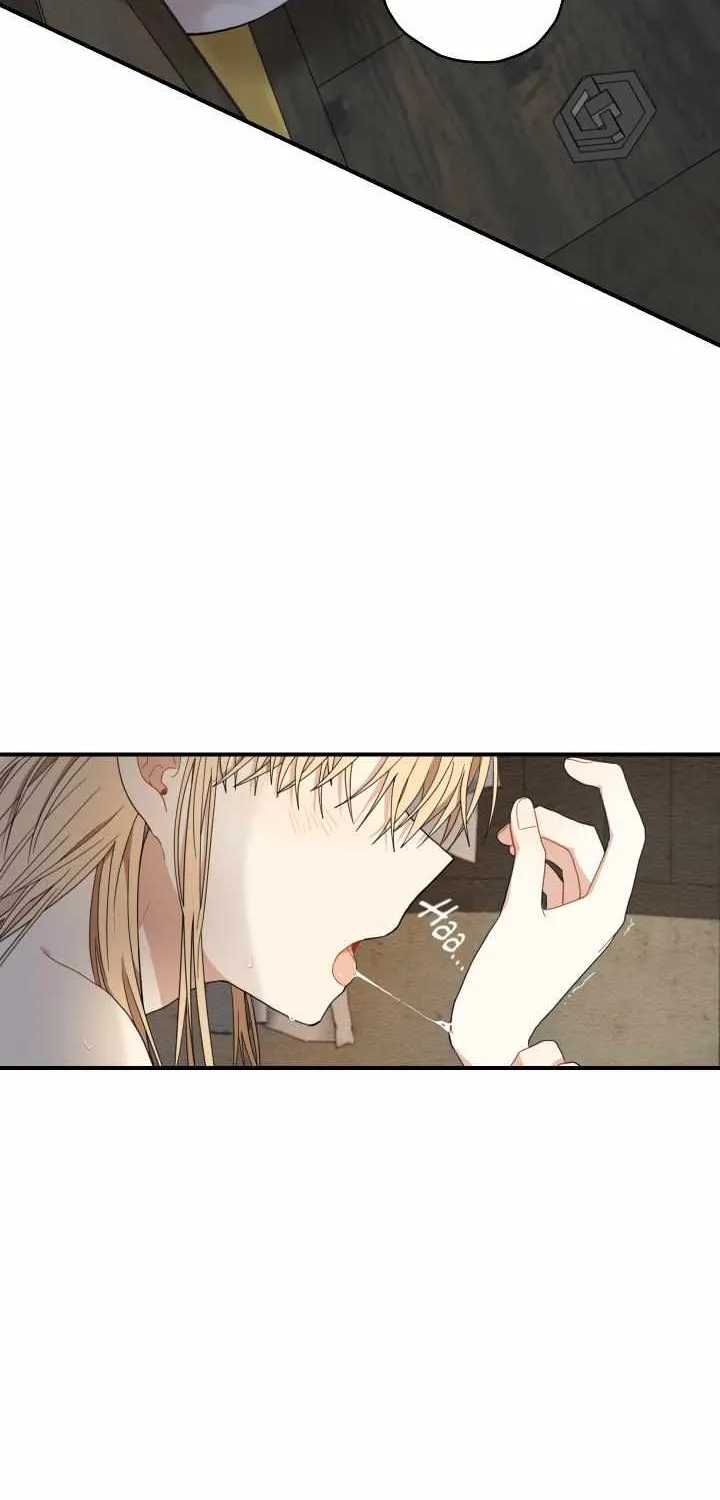 The Path Where the Forsythia Fell Chapter 9 page 37 - 