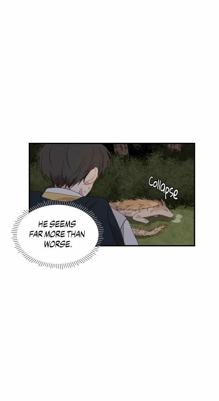 The Path Where the Forsythia Fell Chapter 9 page 6 - 